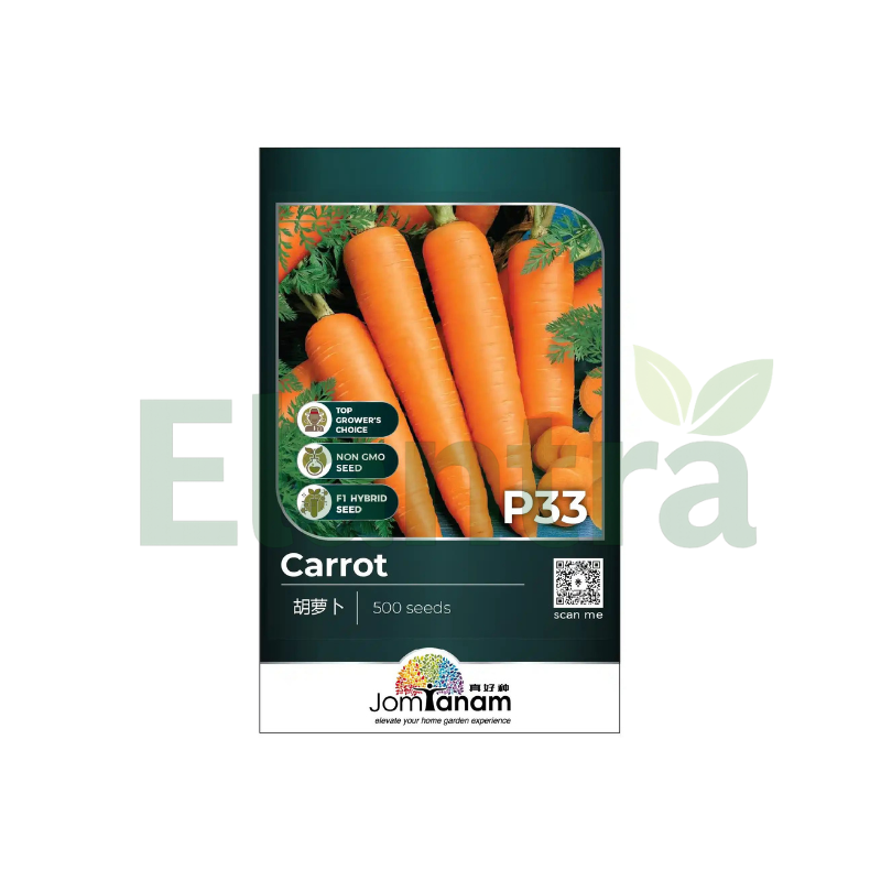 P33 CARROT